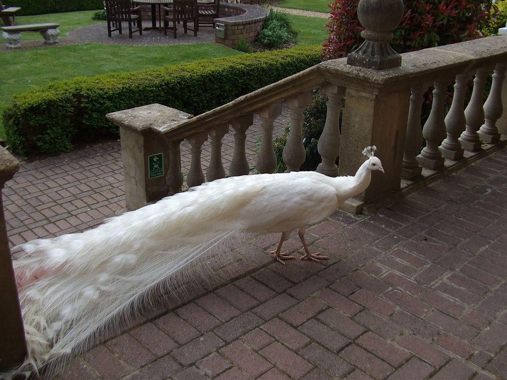 Hotel Pendley Manor Tring Esterno foto