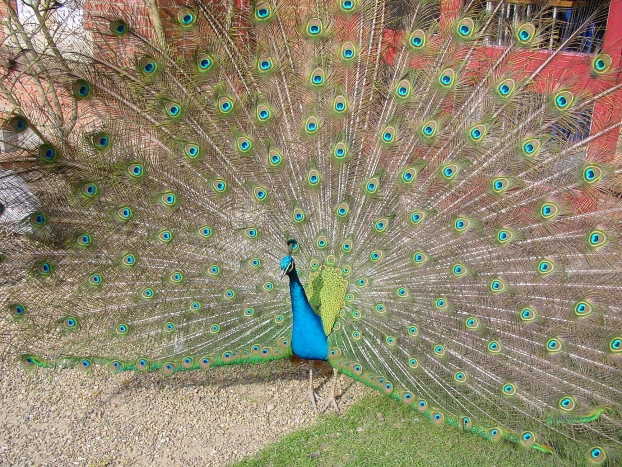 Hotel Pendley Manor Tring Esterno foto
